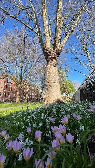 Peaceful Bright City Hide Away With Parking Apartment London