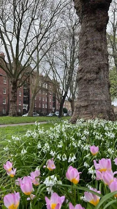 Peaceful Bright City Hide Away With Parking Apartment London